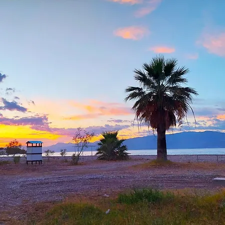 Summer Dreams Digeliotika *