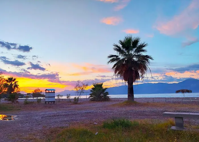 Summer Dreams Digeliotika *