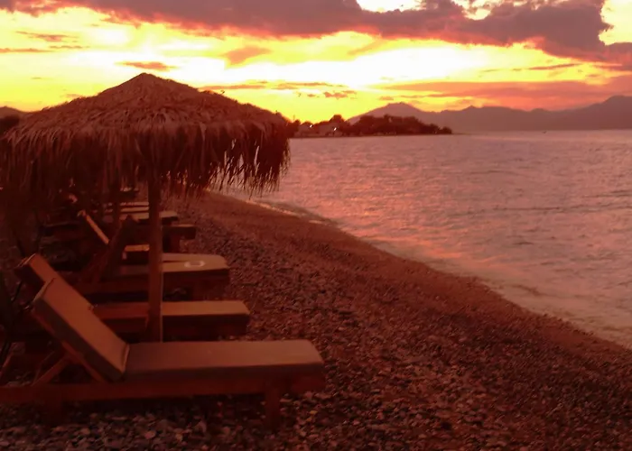 Villa Summer Dreams Digeliotika *